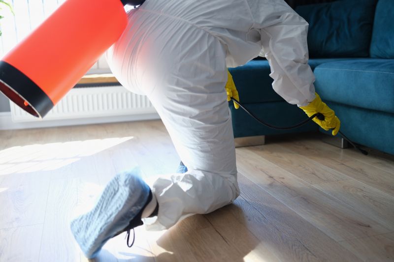 Carpet Beetle Extermination in Katy, TX