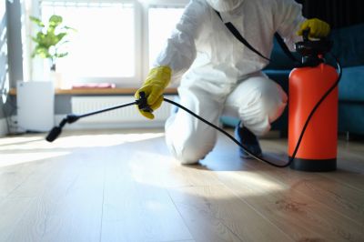 Lawn Insect Spraying in Arlington, TX