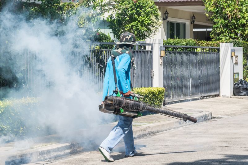 Rat Fumigation Service in Gwinnett County, GA