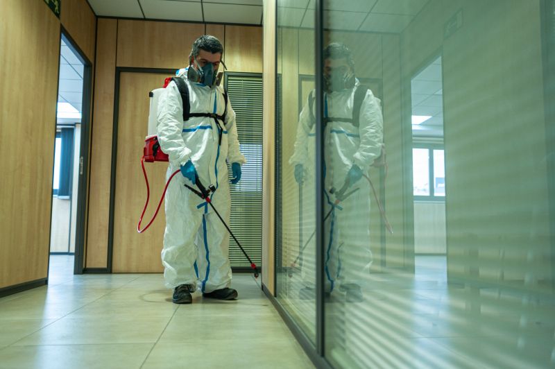 Spider Fumigation Service in West Palm Beach, FL
