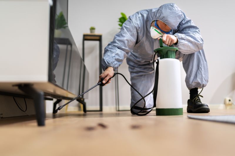Spider Fumigation Service in Cumming, GA