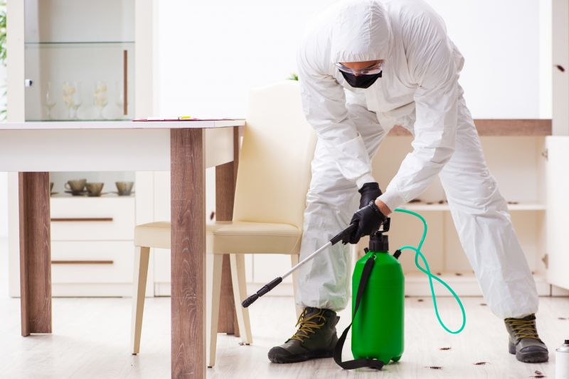 Yard Pest Control in Katy, TX